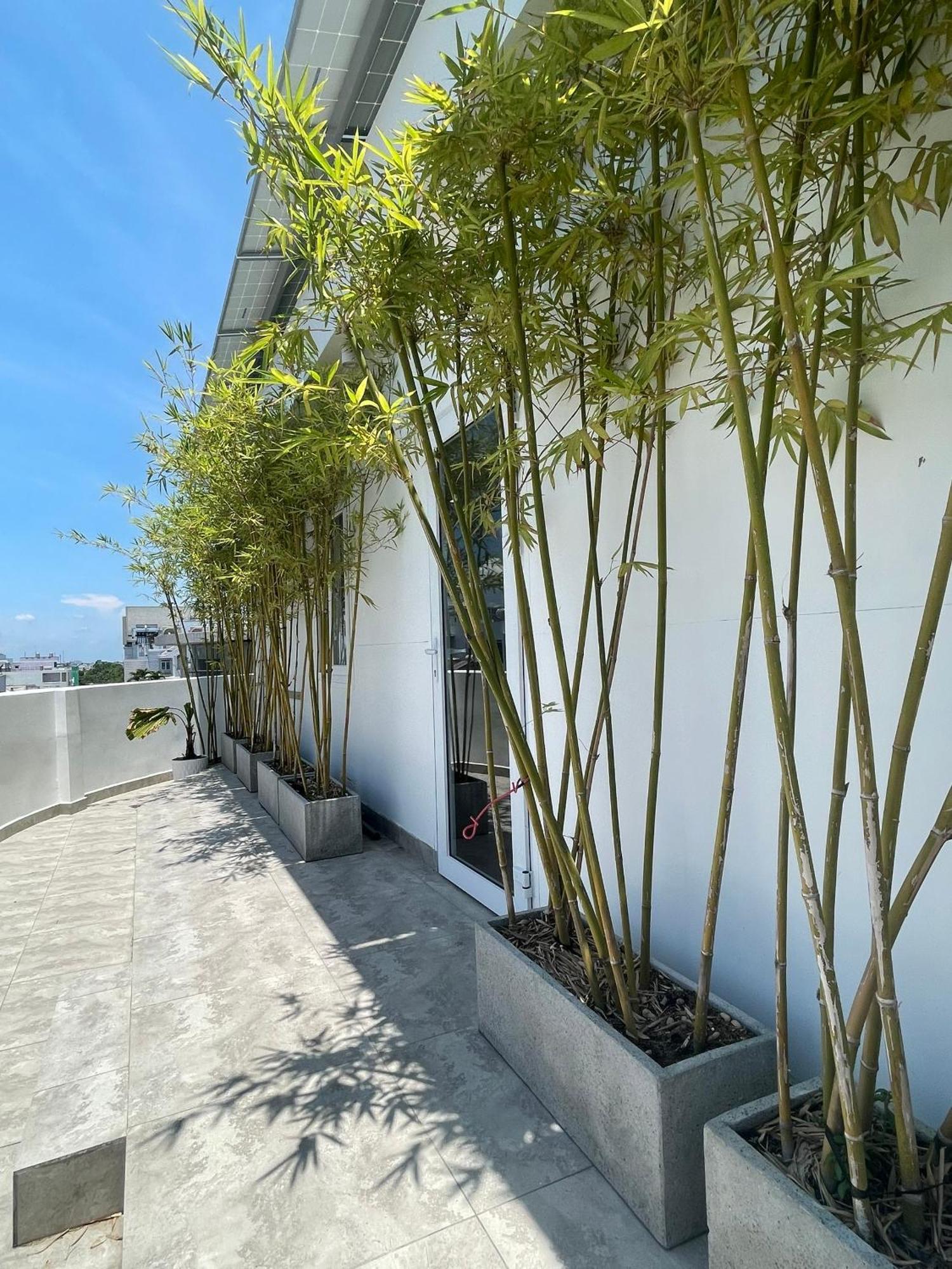 The Ck Hotel Chau Doc Eksteriør bilde